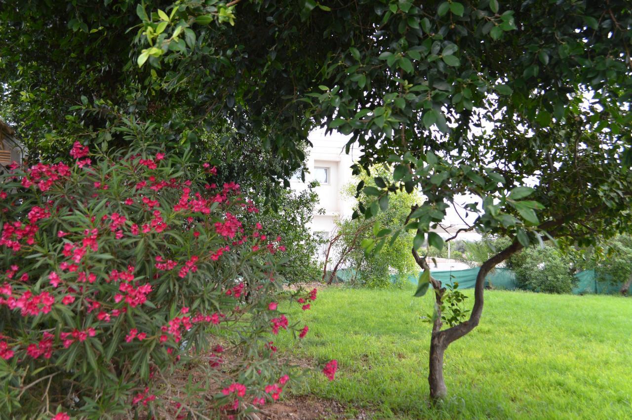 Chrysland Agia Napa Exterior foto
