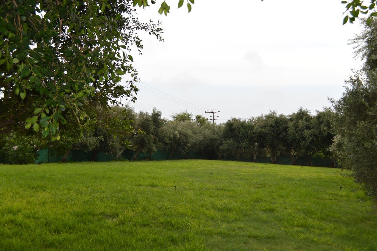 Chrysland Agia Napa Exterior foto