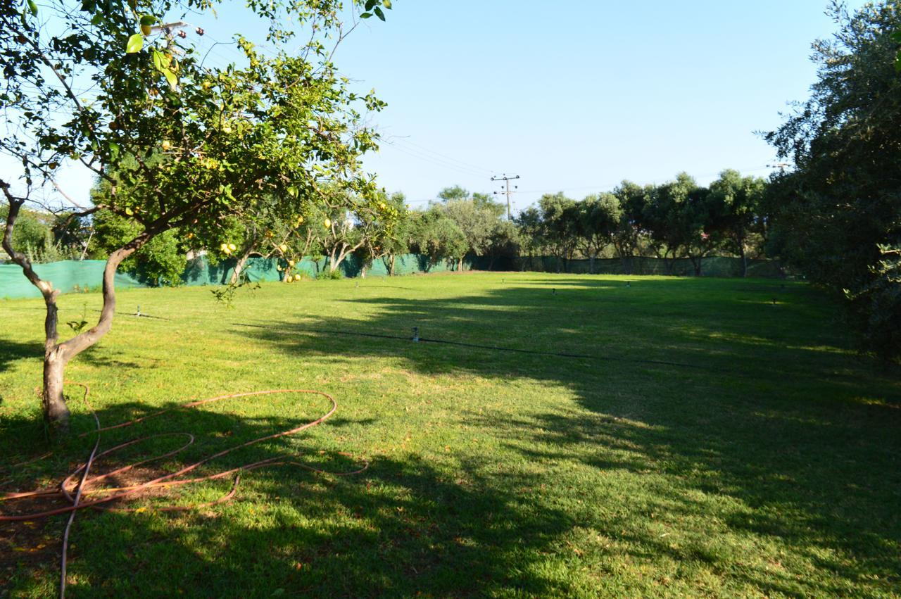 Chrysland Agia Napa Exterior foto