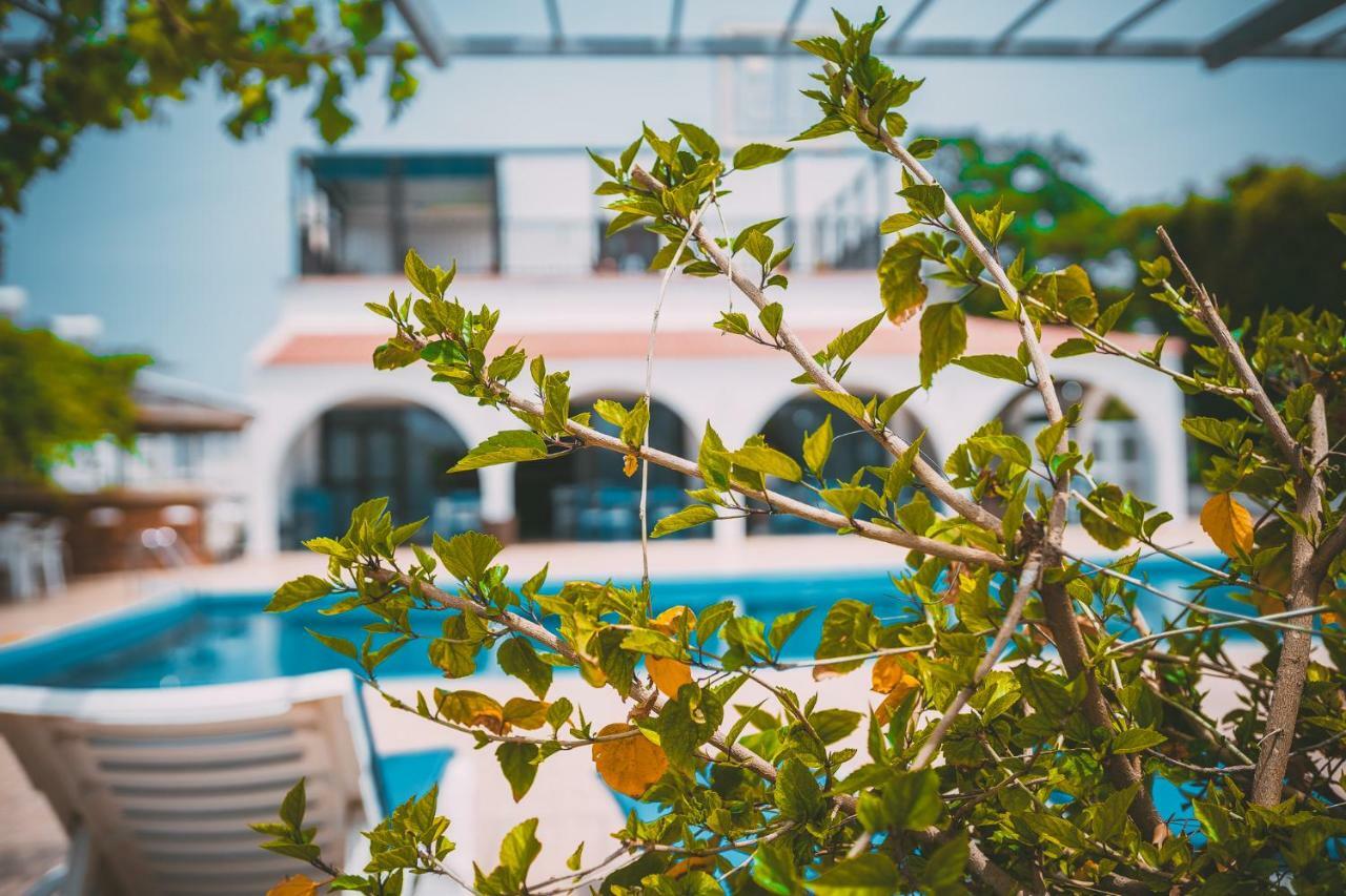Chrysland Agia Napa Exterior foto